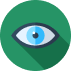 Vision